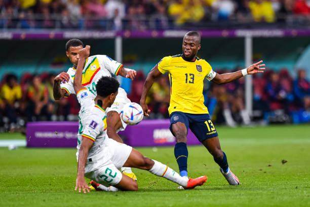 蜂鸟电竞品牌入口-高开低走，强弩之末的厄瓜多尔还是倒在小组赛